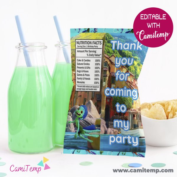 Labels for Trolls Party Pack Chip Bag Favor Bag Juice Water Bottle  Chocolate Wrapper Lollipop DIGITAL DOWNLOAD 